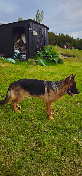 Product image 3 of 9