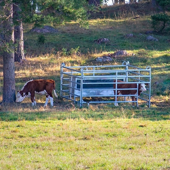 Kellfri Kalveboks kraftfor automat 3 of 3