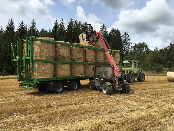 Thaler 48t18 14 of 16