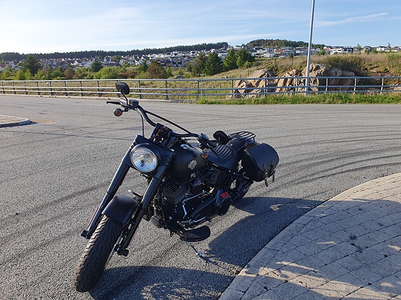 Harley-Davidson FLSS Softail Slim S 30 of 30
