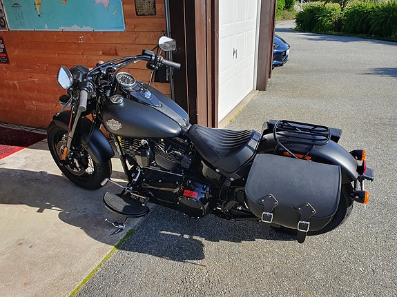 Harley-Davidson FLSS Softail Slim S 29 of 30