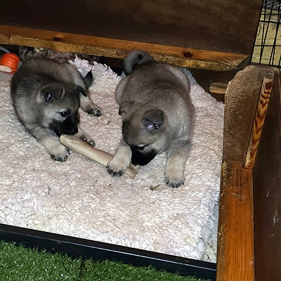 Product image 7 of 10