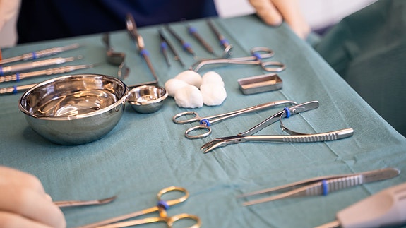 Bilde 4 av 10 i jobbannonse-galleriet