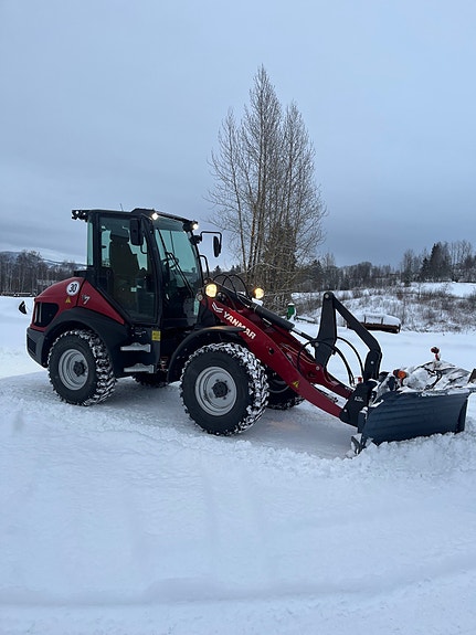 Yanmar V7 3 of 15
