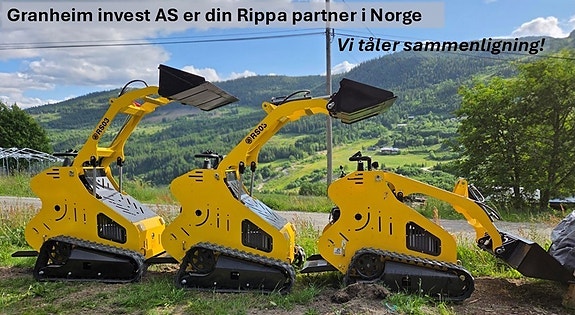 Rippa RS06 - multimaskin - på lager 6 of 6