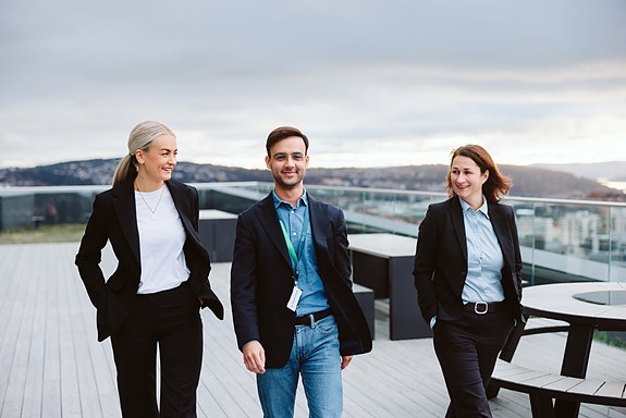 Bilde 4 av 5 i jobbannonse-galleriet