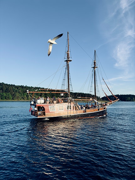 Bilde 7 av 8 i jobbannonse-galleriet