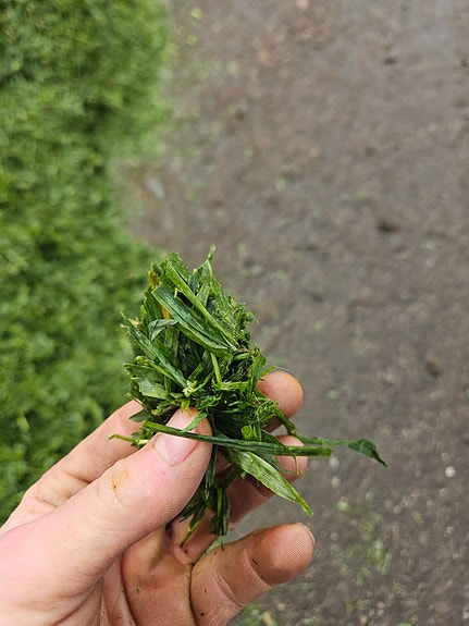 Strautmann Magnon 9 4 of 5