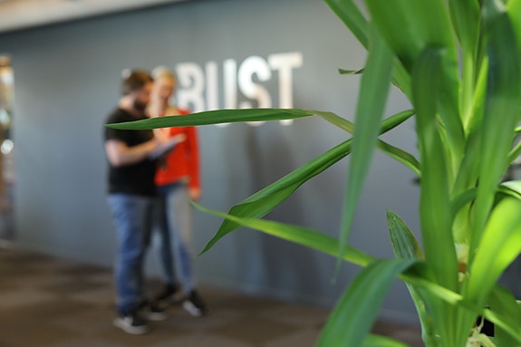 Bilde 1 av 1 i jobbannonse-galleriet