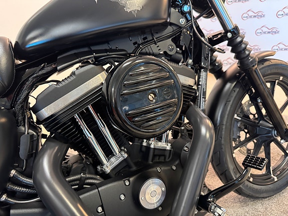 Harley-Davidson XL 883 N Iron *** BLACK *** 13 of 30