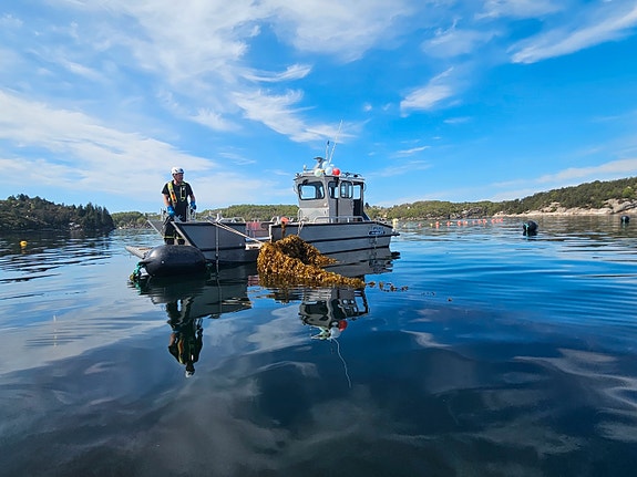MS Boat CWA 690WT – Skreddersydd for yrkesbruk 11 of 18