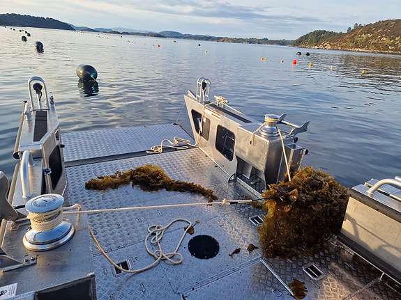 MS Boat CWA 690WT – Skreddersydd for yrkesbruk 18 of 18