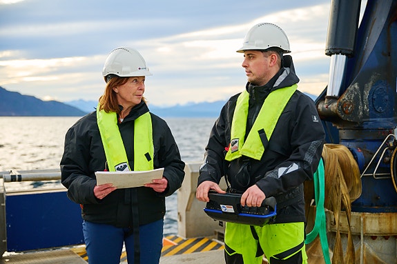 Bilde 1 av 3 i jobbannonse-galleriet