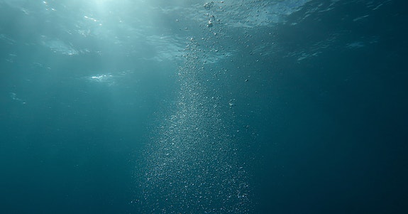 Bilde 2 av 2 i jobbannonse-galleriet