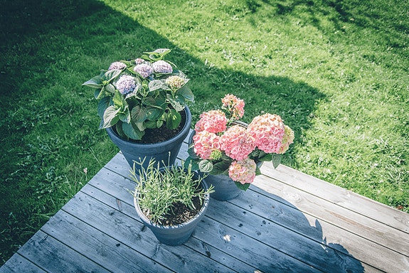 Bilde 2 av 2 i jobbannonse-galleriet