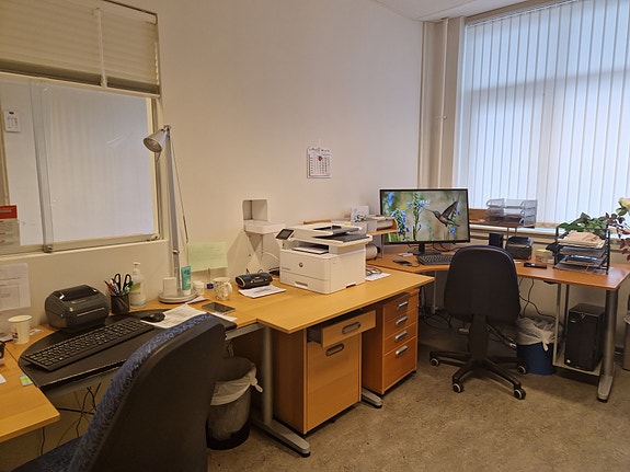 Bilde 3 av 4 i jobbannonse-galleriet