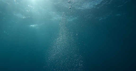 Bilde 1 av 1 i jobbannonse-galleriet