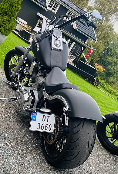 Harley-Davidson FXST Softail Standard / Custom 14 of 19