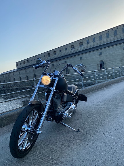Harley-Davidson FXST Softail Standard / Custom 17 of 19