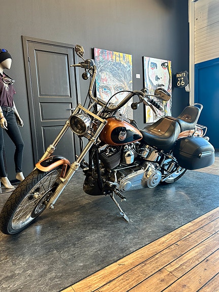 Harley-Davidson FXST Softail Standard / Custom