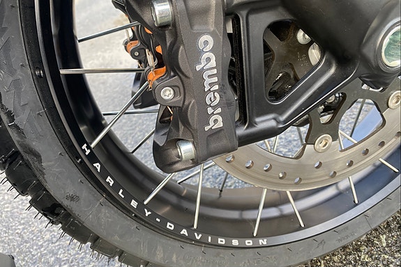 Harley-Davidson RA1250S Pan America 20 of 21