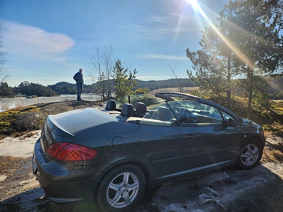 Peugeot 307 CC 6 of 17