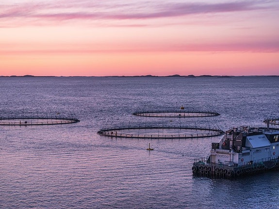 Bilde 1 av 2 i jobbannonse-galleriet