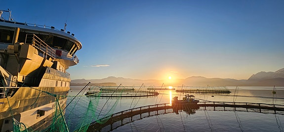 Bilde 1 av 9 i jobbannonse-galleriet