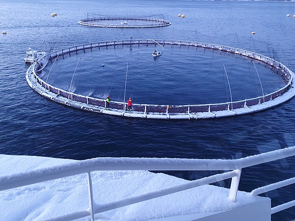 Bilde 9 av 9 i jobbannonse-galleriet