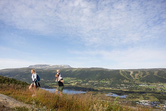 Bilde 3 av 6 i jobbannonse-galleriet