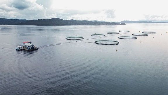 Bilde 4 av 4 i jobbannonse-galleriet