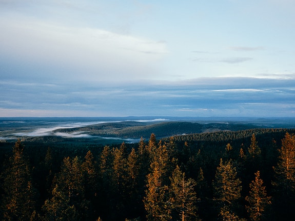Bilde 2 av 3 i jobbannonse-galleriet