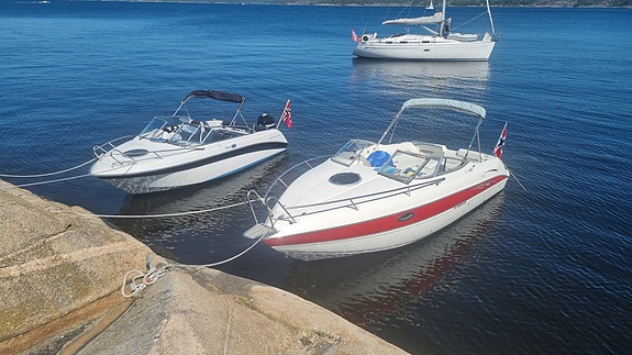 Stingray CR 250 3 of 5