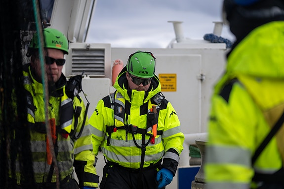 Bilde 2 av 4 i jobbannonse-galleriet