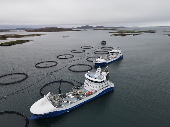 Bilde 2 av 2 i jobbannonse-galleriet