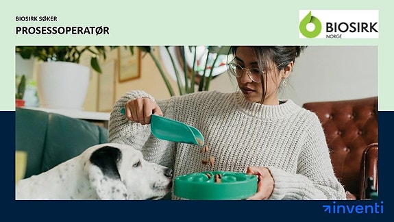 Bilde 1 av 1 i jobbannonse-galleriet