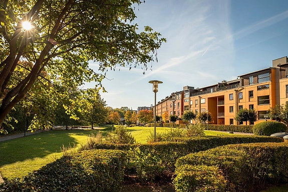 Bilde 1 av 3 i jobbannonse-galleriet