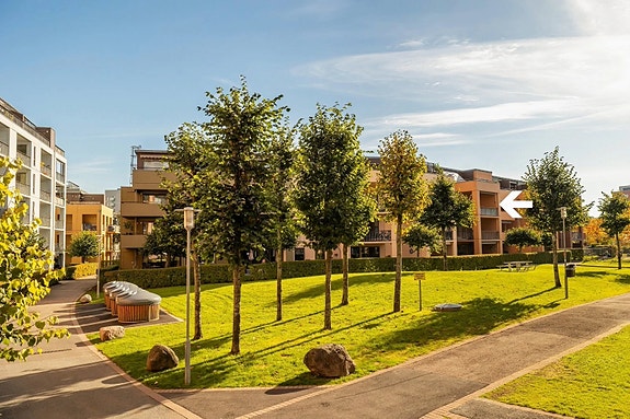 Bilde 2 av 3 i jobbannonse-galleriet