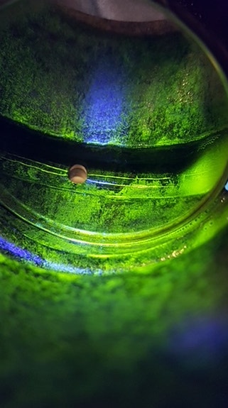 Bilde 5 av 5 i jobbannonse-galleriet