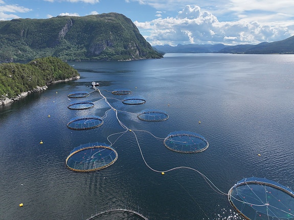 Bilde 1 av 1 i jobbannonse-galleriet