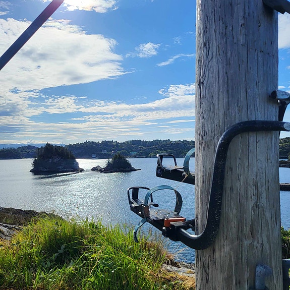 Bilde 2 av 2 i jobbannonse-galleriet