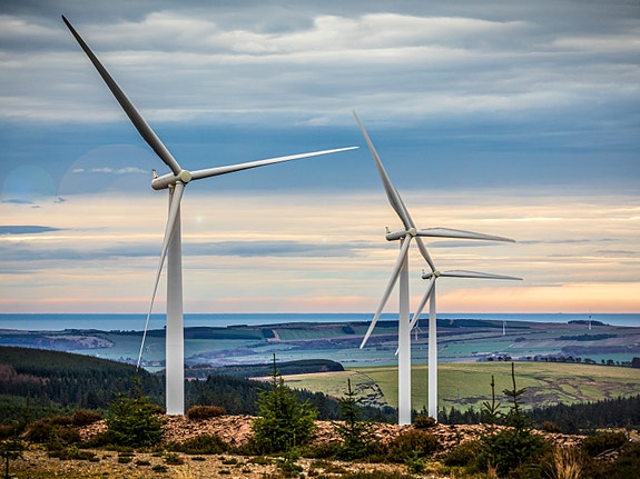 Bilde 1 av 1 i jobbannonse-galleriet