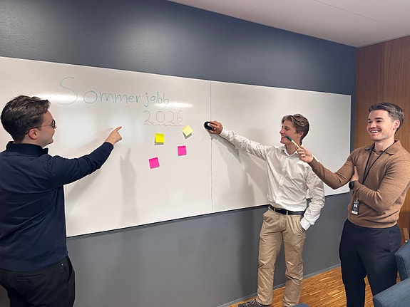 Bilde 1 av 1 i jobbannonse-galleriet