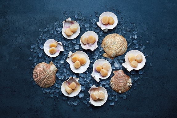 Bilde 1 av 1 i jobbannonse-galleriet