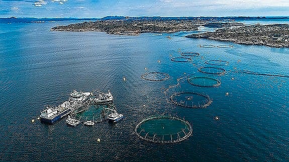 Bilde 5 av 8 i jobbannonse-galleriet