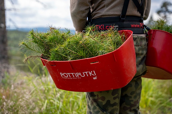 Bilde 4 av 4 i jobbannonse-galleriet