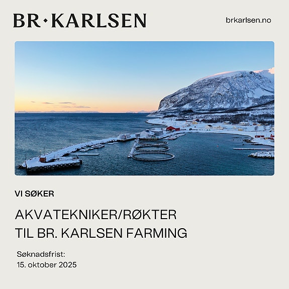 Bilde 1 av 1 i jobbannonse-galleriet