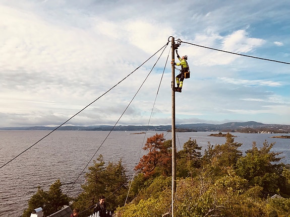 Bilde 1 av 1 i jobbannonse-galleriet