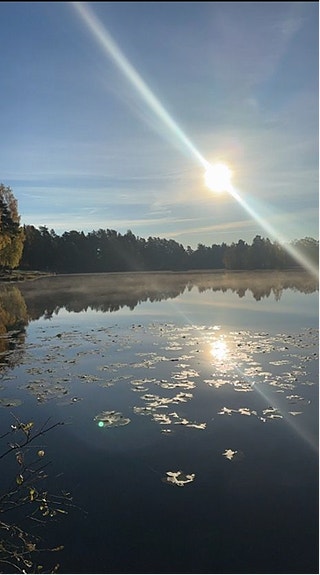 Veslevannet 5 min fra klinikken