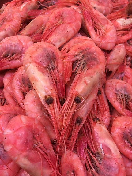 Bilde 1 av 10 i jobbannonse-galleriet